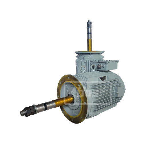 Cooling Tower Motor 001