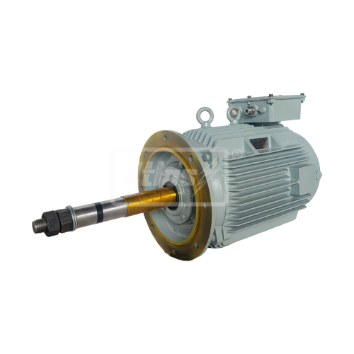 Cooling Tower Motor 003