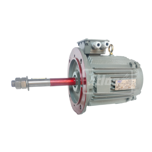 Cooling Tower Motor 004