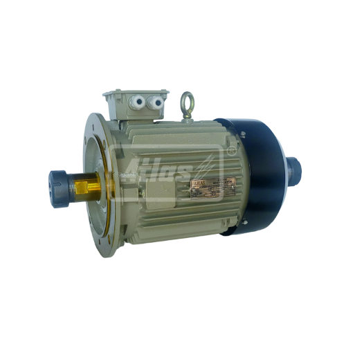 Hollow Shaft Motor 001