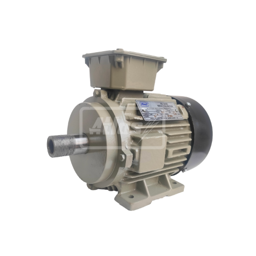 Hollow Shaft Motor 002
