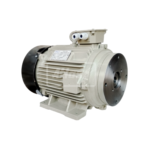 Hollow Shaft Motor 003