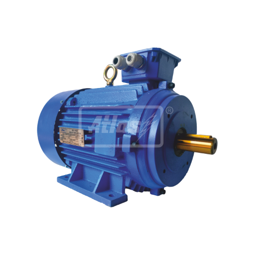 Three Phase Motors 001
