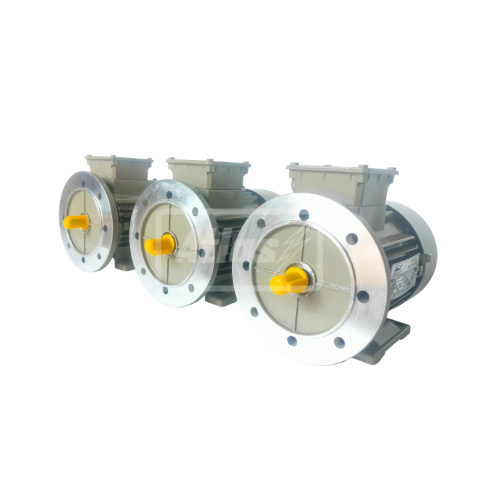 Three Phase Motors 004